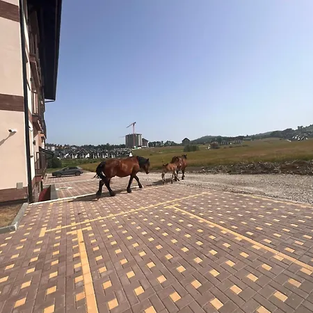 Apartment Eden Lux Zlatibor